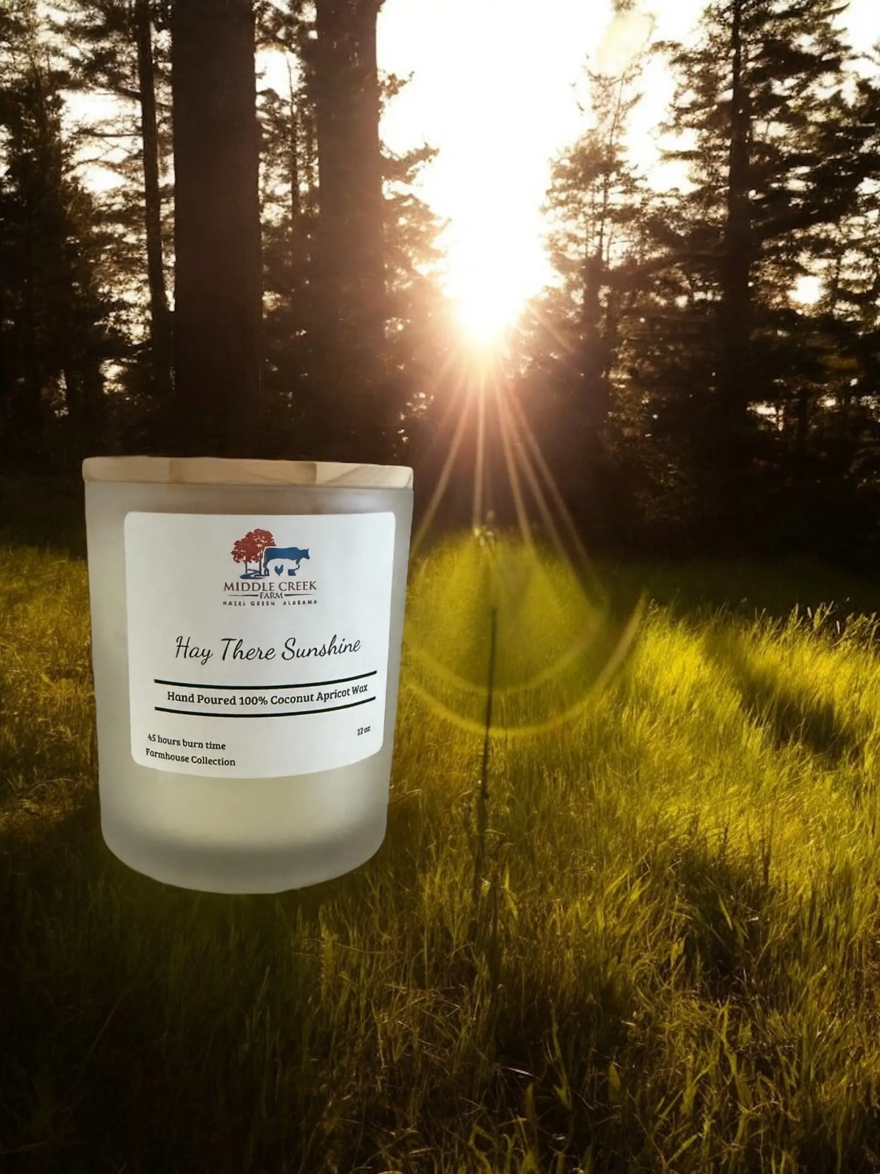 Hay There Sunshine Hand Poured Candle