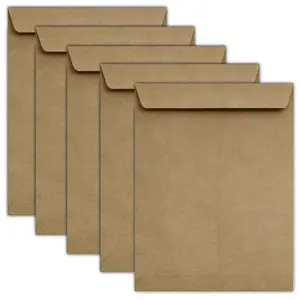 9x12 Top Closing Envelope - Lunch Bag