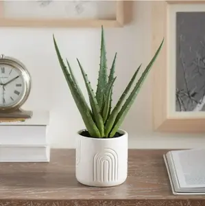 Aloe Vera 11.25" Artificial Plant in White Ceramic Pot with Rainbow Print