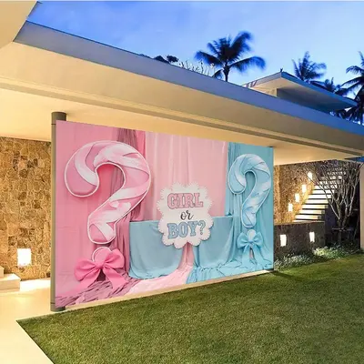 Gender Reveal Dollar Tree TikTok Shop - Main Image