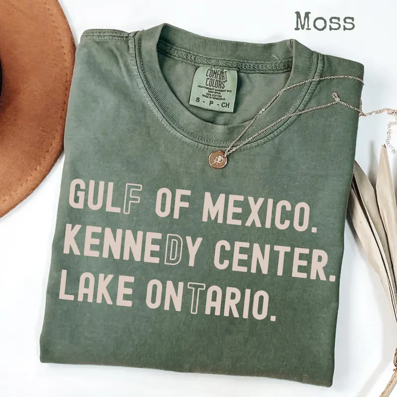 Comfort Colors FDT Lake Ontario Kennedy Center Shirt, Funny Protest Tee, Anti-Trump Pro-Democracy Activism Graphic, Subtle FDT Shirt