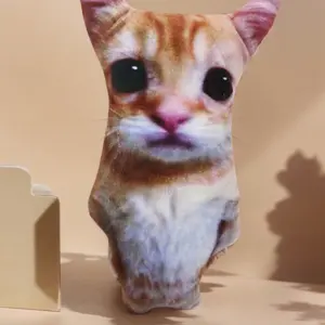 21cm Meme Cat Plush Toys Cat Dolls Plushies Simulation Cat Stuffed Animals Birthday Holiday Gift Kids Boys Collectible Toy Halloween Christmas Gifts Stuffed Toy,Creepy Doll,Funny Plush,Cat Collar Boy,Creepy,Children's Day Gifts, Soft Cuddly Gift