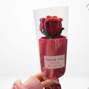 Luxury Fuzzy Rose Bouquet Viral Handmade Pipe Cleaner Flowers Aesthetic Room Decor Meaningful Gift for Bestie or Mom Thank You for Everything Have a Nice Day