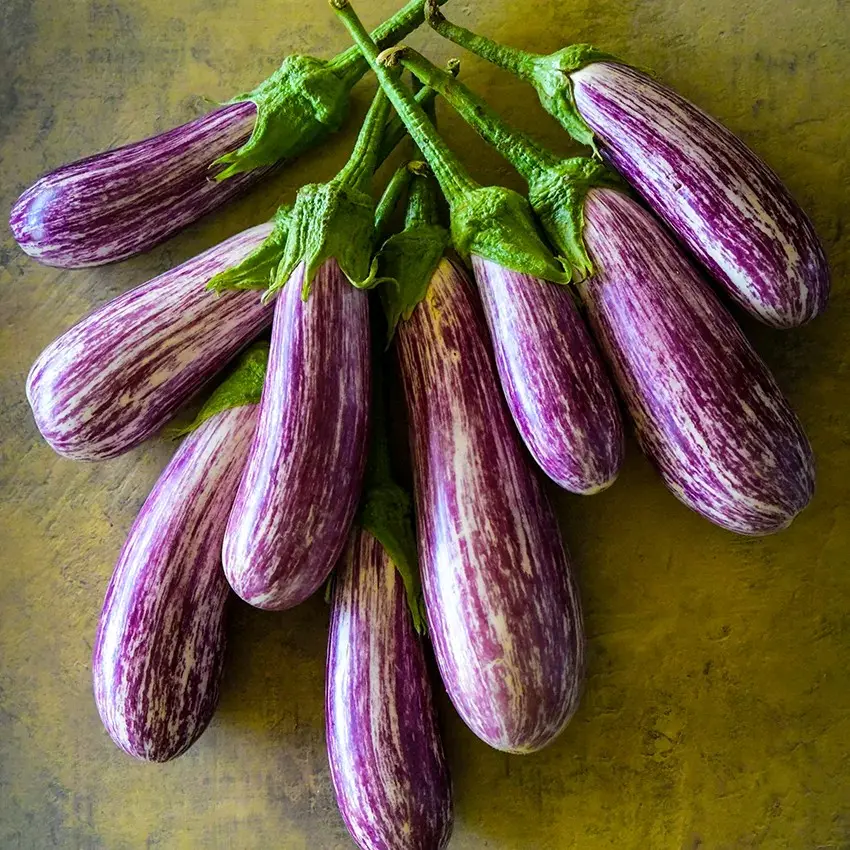 Fairy Tale Eggplant Seeds (USDA Organic Seeds)