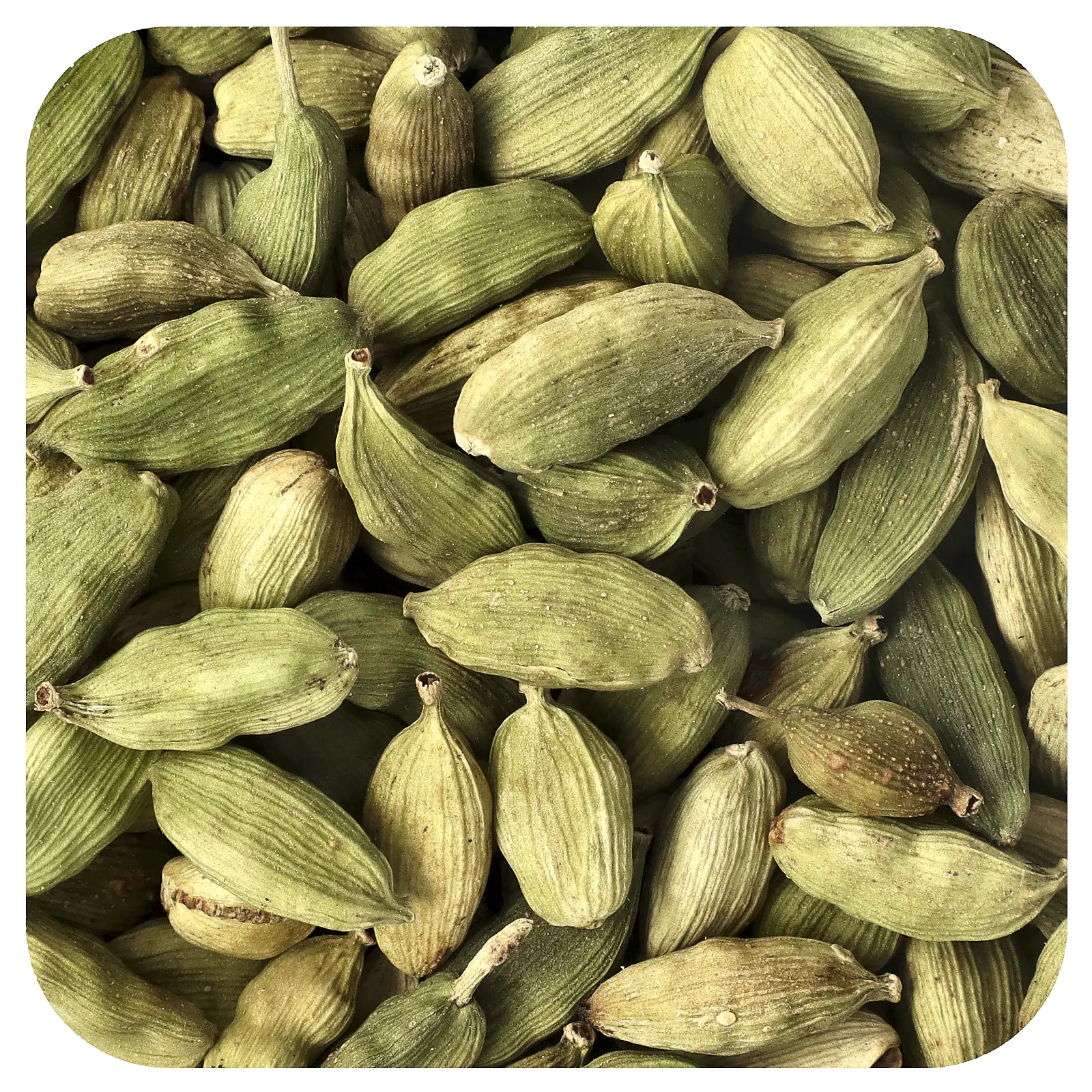 Starwest Botanicals Organic Cardamom Pods Green, 1 lb (453.6 g)