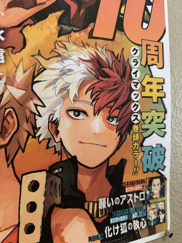 My Hero Academia Deku Poster - 13x19in Cardstock Matte Anime Shonen Jump