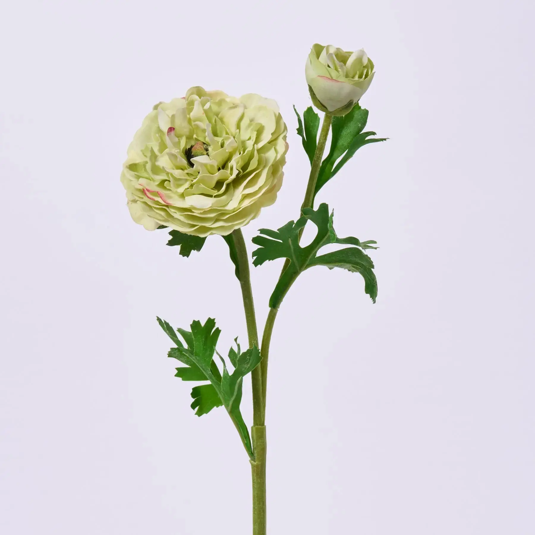 23" Chartreuse Green Real Touch Ranunculus Spray - Dried Look Faux Floral Stem for Home Decor, Wedding Floral Decor with Flower & Leaf Accents, Room Decor