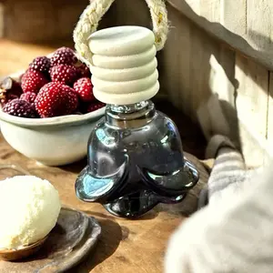 Black Raspberry Vanilla Car Diffuser