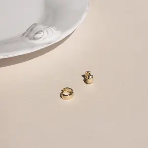 Mini Chunky Gold Style S925 Sterling Silver Plated 14k Gold Hoop Earrings French Fashionable Ins Women's Small Hoop Earrings