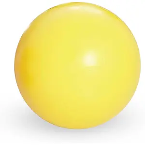 niper   tickhandling Ball -  Dangle Ball with Bag - Improve tickhandling On and Off The Ice - Bring Anywhere!