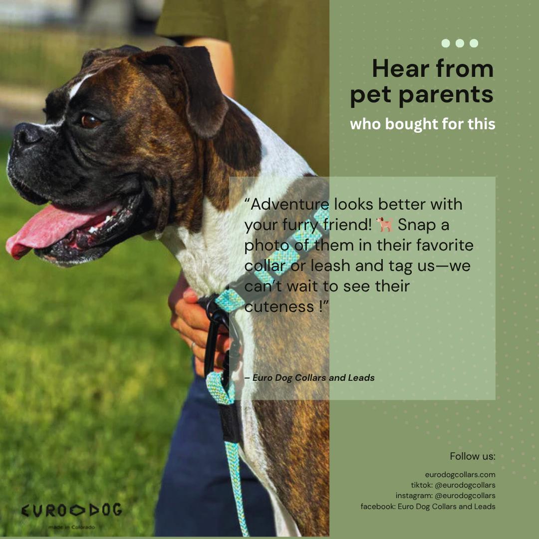 Euro Dog | Adventure Style Flat Weave Climbing Rope Dog Collar with YKK Polyacetal Strong Buckle for Pet Adventures