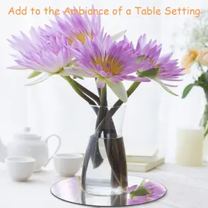 10" Round Mirrors for Centerpieces, Circle Mirror Centerpieces for Tables, Mirror Plates 2mm, Centerpieces & Wedding Decorations & Baby Shower Party & Christmas Decorations, 12pack