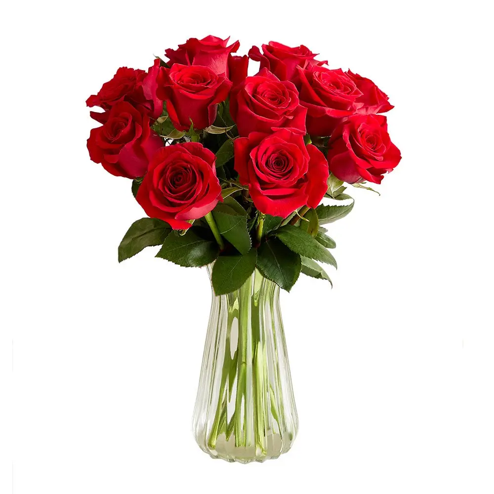 1800 Flowers - 12 Stem Red Roses Bouquet with Clear Vase, Fresh Flowers 1800 Flowers - 12 Stem Red Roses Bouquet with Clear Vase, Fresh Flowers