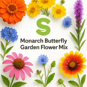 Monarch Butterfly Garden Flower Seed Mix - Vibrant Colors for Attractive Gardening