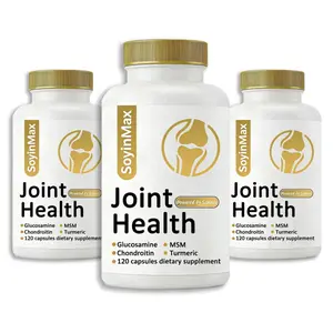 Joint Support Supplement for Men & Women, Triple Strength Formula with Glucosamine Chondroitin MSM & Turmeric Curcumin, Supports Mobility, Flexibility & Cartilage Health, 120 Capsules