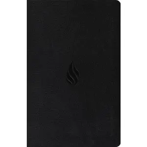 USED-Premium Gift Bible-ESV-Flame Design by ESV Bibles (Imitation Leather)