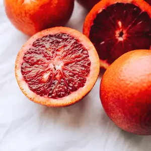 #3 Container Moro Blood Orange Semi-Dwarf Tree Nocturnal Gardens