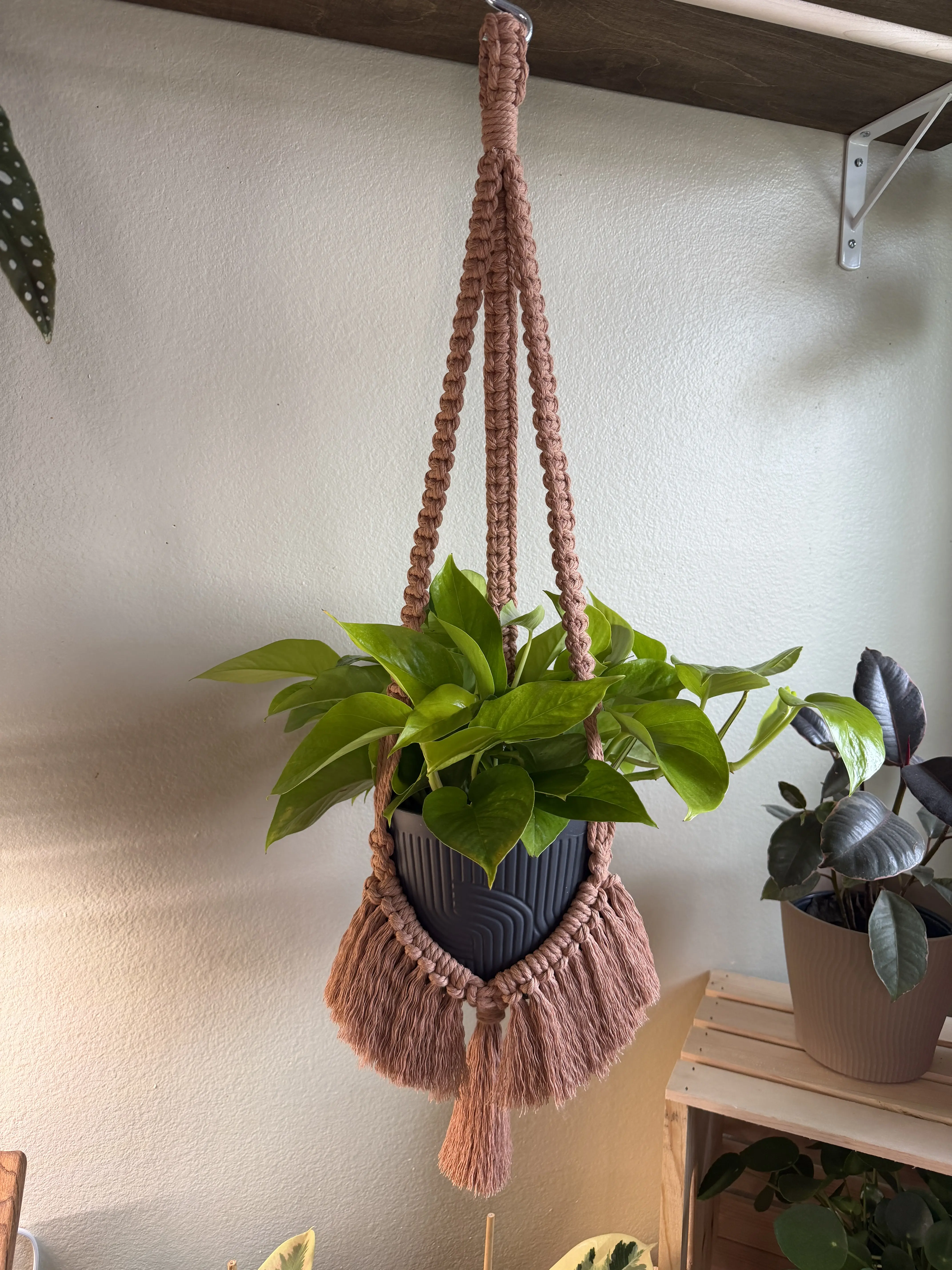 Brushed Flair Macrame Plant Hanger