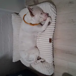 3 Styles Comfortable Pet Sofa Beds - Fluffy Fleece Cat Beds for Indoor Cats, Premium Soft with Removable Washable Cover