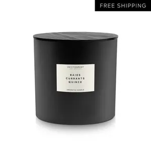 ENVIRONMENT Inspired by Designer Perfume DYPT Baies Candle, 55oz Luxury Coconut Apricot Wax Candles for Home (Baies | Currants | Quince) Home Fragrance Products, 4 Wick Candle, Vegan & Cruelty-Free