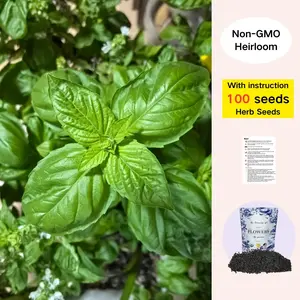 【SummerVibes】Basil Seeds – 100 Heirloom Seeds | Fast-Growing Culinary Herb for Home & Garden
