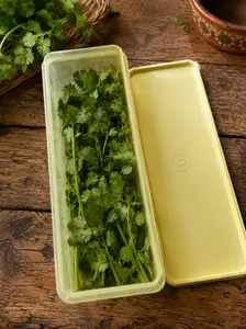 Fresquita Preserving Container