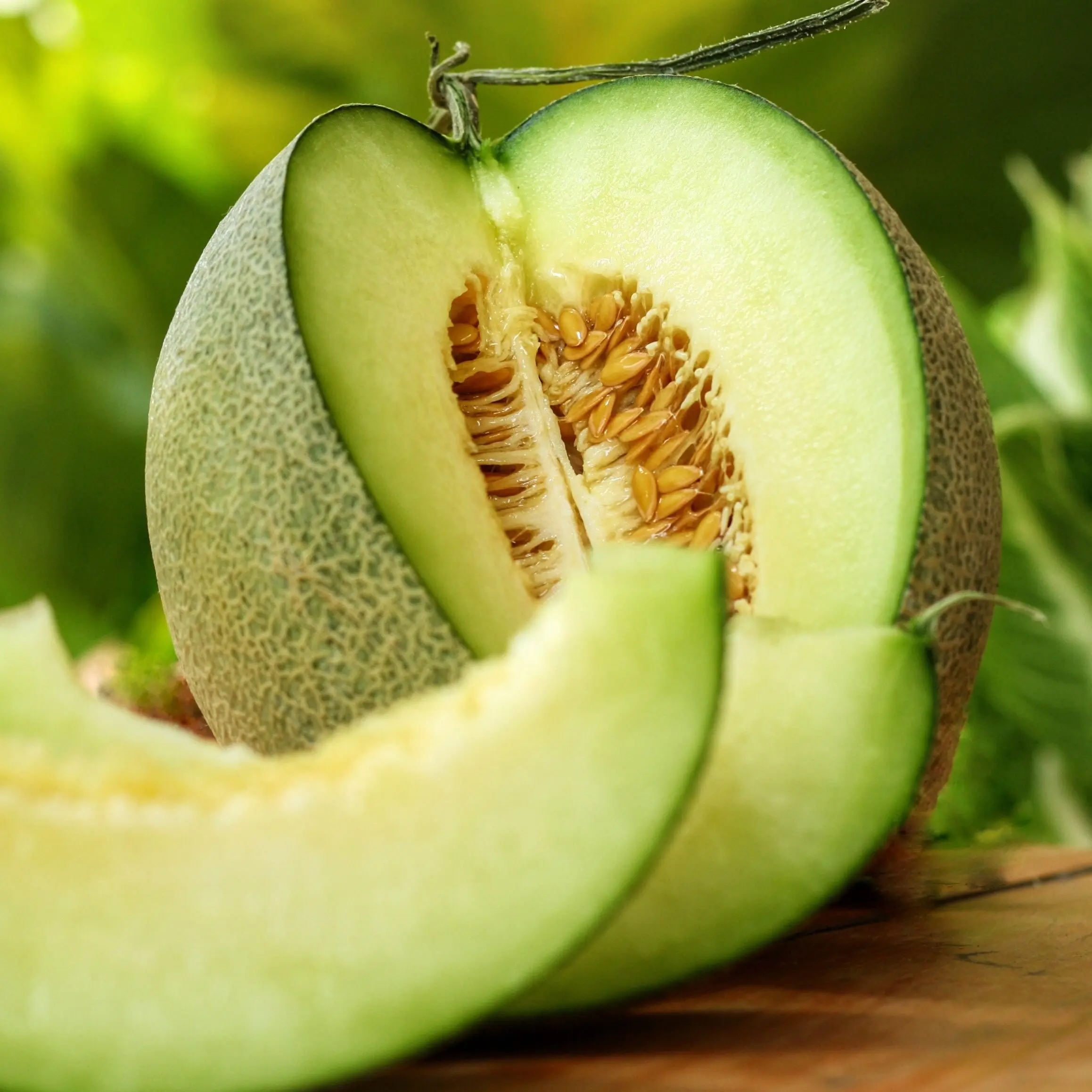 TomorrowSeeds - Rocky Ford Green Cantaloupe Seeds -  Green Flesh Netted Gem Honeydew Japanese Muskmelon Melon Fruit Seed 2024 Season