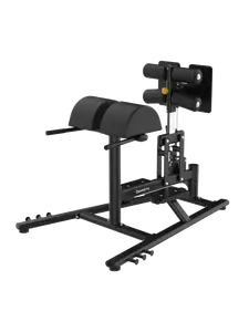 Glute/Ham Developer Bench DRE6032