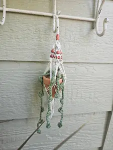 Crochet and Macrame Mini Hanging Potted Plant Decor Wooden