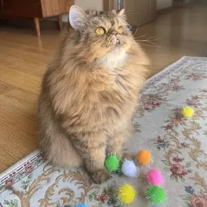 20pcs 1.5inch Super Big Cat Favorite Chasing Flash Ball Toy Shiny Pom Pom