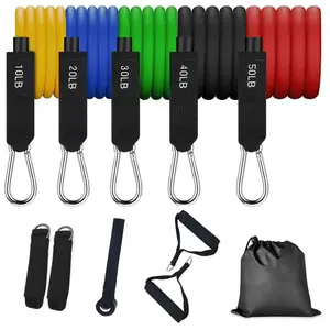 Complete 5‑Tension Exercise Resistance Bands Kit, Durable Adjustable Latex Bands with Full Accessories, Compact Portable Design for Post‑Injury Rehabilitation, Yoga, Crossfit & Body Shaping, Ideal for Athletes, Patients & Fitness Enthusiasts