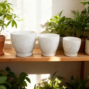 Set of 3 Ivory 10" 8" & 6.75" Jungle Flowers Ceramic Pots with Matching Saucers for Indoor Garden Decor Elegance and Functionality