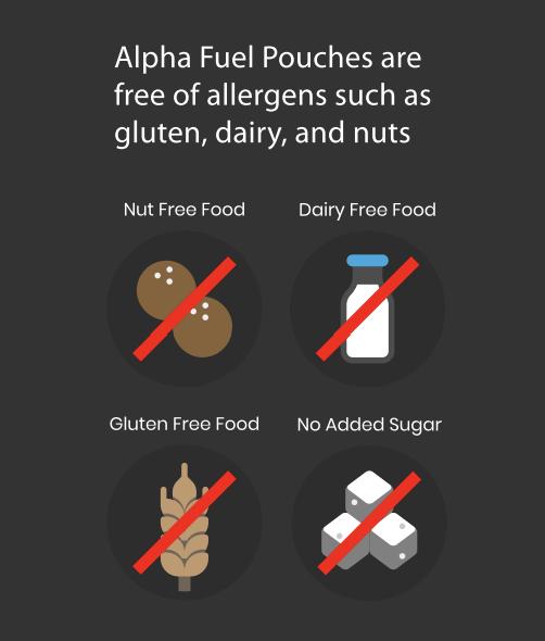 ALPHA Fuel Nootropic Wintergreen Energy Pouches by Fully Loaded - Energy, Focus, Memory - Sugar Free Sport Beverage