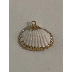 SCALLOP SHELL ( white)
