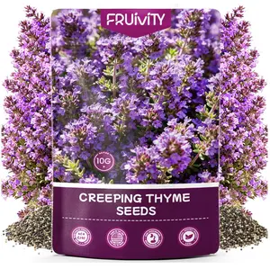 20000+pcs Creeping Thyme Seeds for Planting, Perennial Ground Cover Plants Heirloom Flowers Seeds Fragrant Herb Seeds for Lawns & Paths Garden
