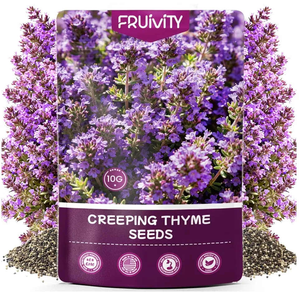 20000+pcs Creeping Thyme Seeds for Planting, Perennial Ground Cover Plants Heirloom Flowers Seeds Fragrant Herb Seeds for Lawns & Paths Garden