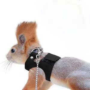 1 PC Squirrel Pet Harness Leash, Bunny Harness, Walking Harness, Training Gear for Small Animals, Comfortable Chest Strap, Ideal for Daily Walks & Playtime