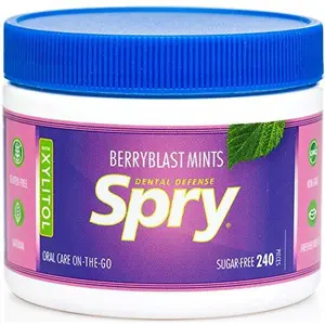 Spry Berry Blast Xylitol Mints, Sugar-Free Candy for Oral Health, Dry Mouth, Saliva Production, Bad Breath, 240 Pieces (Pack of 1)