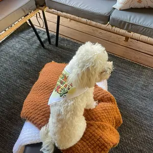 Handmade Dog Bandana | Thanksgiving & Fall Season Pet Accessory