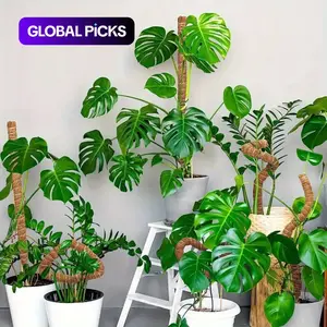 2pcs, Coconut stick green plant, Climbing Vegetable Plant climbing frame garden support flexible DIY shape Plant Climbing Pole, Moss Pole, Palm Pole #GLOBAL PICKS