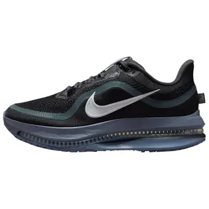 Nike Pegasus Premium 'Anthracite'
