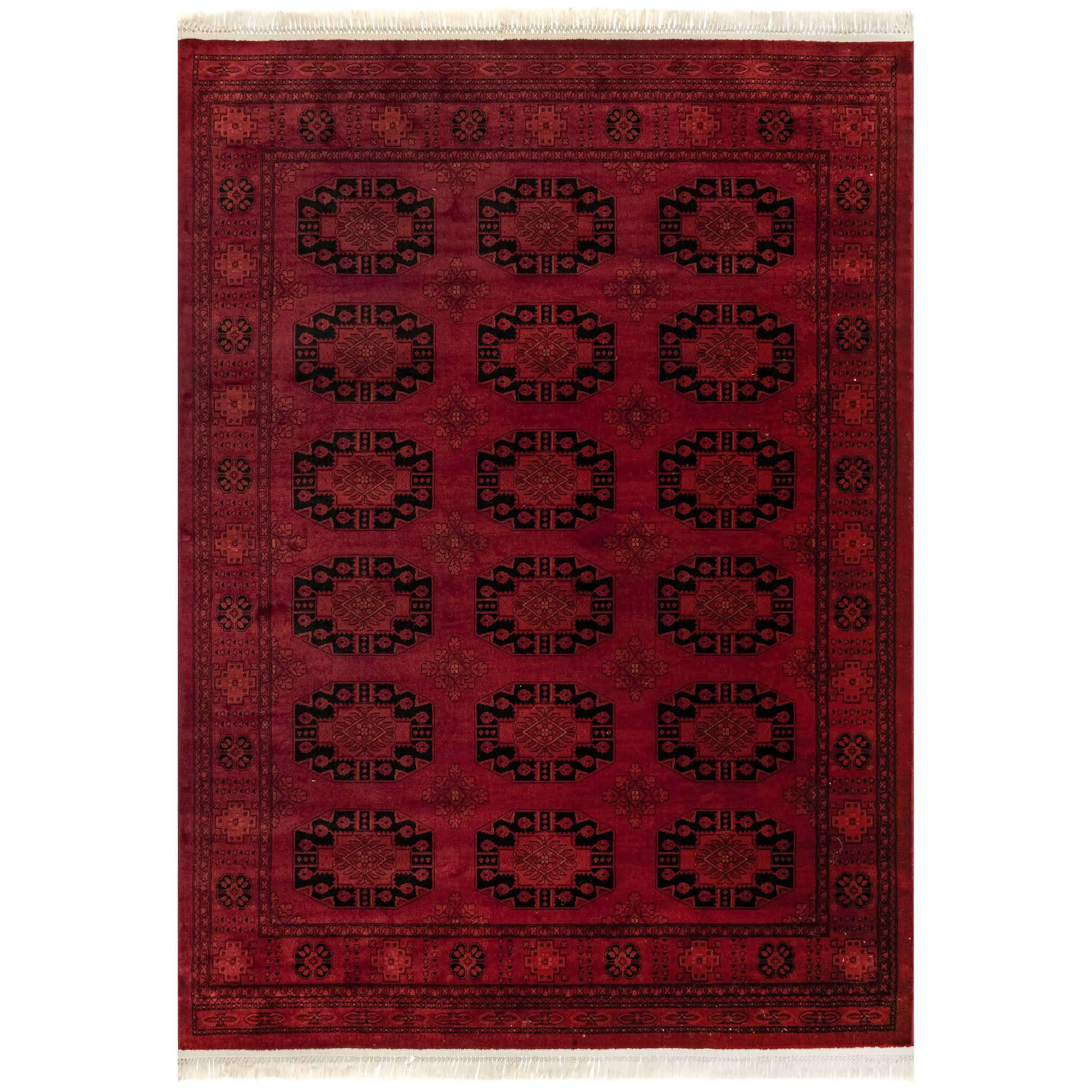 Diandra Traditional Persian Motif Fringe Area Rug