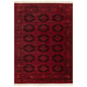 Diandra Traditional Persian Motif Fringe Area Rug