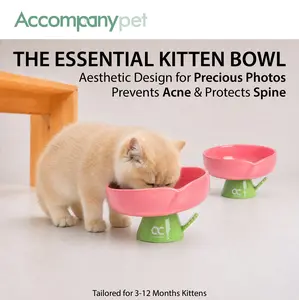 Aesthetic Kitten Flower Bowl (3-12 Months) - Premium Elevated Ceramic Cat Feeder, Prevents Feline Acne & Vomiting, Protects Spine, Cute Photographic Prop & Gift for Indoor Kittens