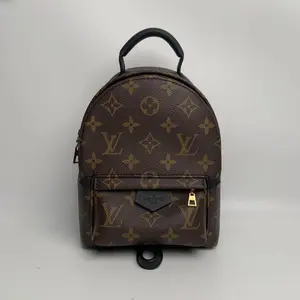 Pre-owned Louis Vuitton canvas Backpacks LV Palm Springs Mini new version(z)