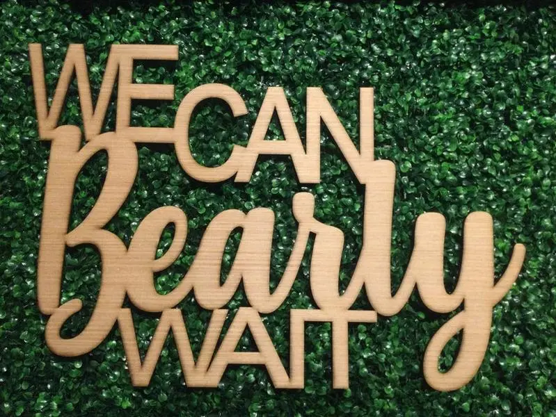 We Can Bearly Wait Sign, Baby Shower Backdrop Sign, Teddy Bear Baby Shower