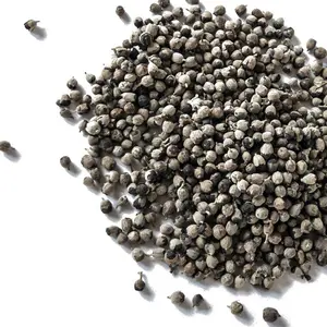 Chaste Tree Seeds (Vitex agnus-castus L.) 50 Seeds (0.5 grams)