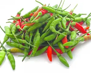 50 Thailand Bird's Eye Chili Pepper Seeds for Planting - Hot Pepper Seeds - Mini Pepper Seeds - Vegetable Easy to Grow