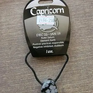 Capricorn Snowflake Obsidian Gemstone Necklace