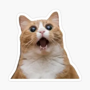 Cat Memes Stickers